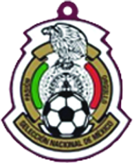 Llavero escudo Selección Nacional